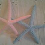 50 Glittery Starfish for We..